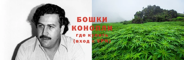 эйфоретик Богданович