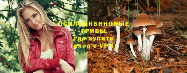 герыч Богородск