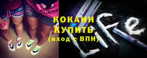 эйфоретик Богданович