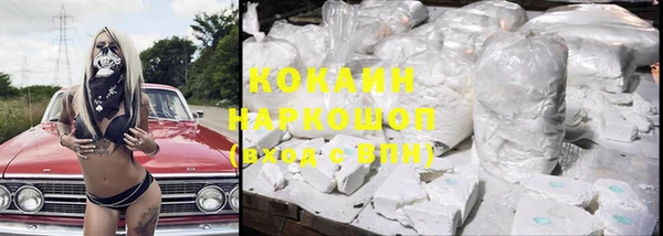 эйфоретик Богданович