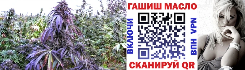 где найти наркотики  Кузнецк  Дистиллят ТГК Wax 
