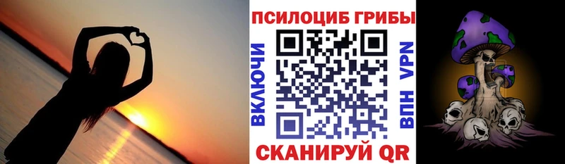 Галлюциногенные грибы мухоморы  где купить   MEGA зеркало  Кузнецк 